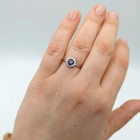 IMG-20260408-WA0444.jpg