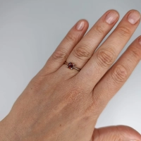 IMG_20260512_152608.jpg